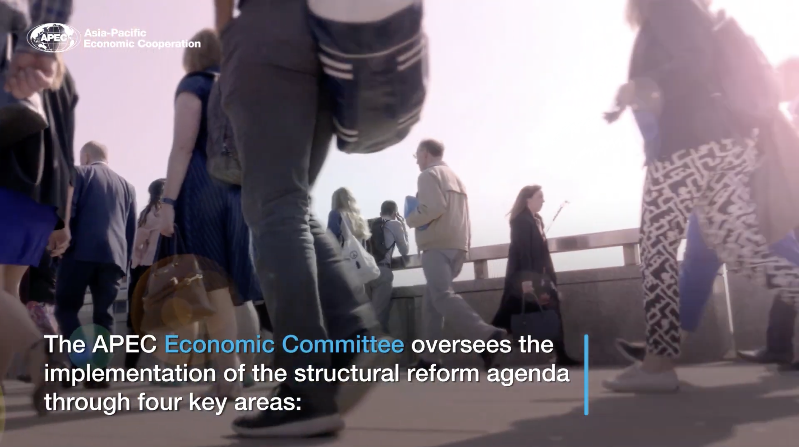 The Role of Structural Reform in Building a More Resilient Economy | APEC