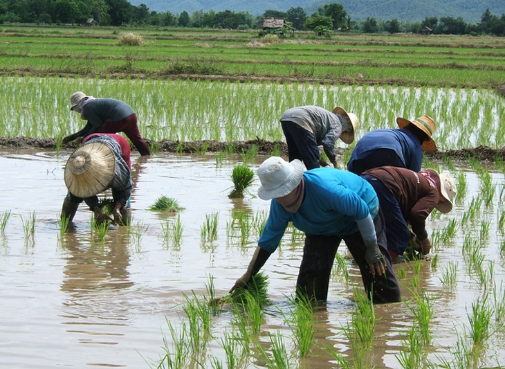 helping farmers adapt to climate change apec