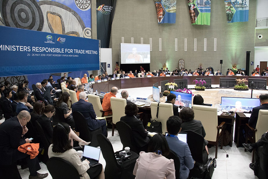 APEC Trade Ministers Issue Statement APEC