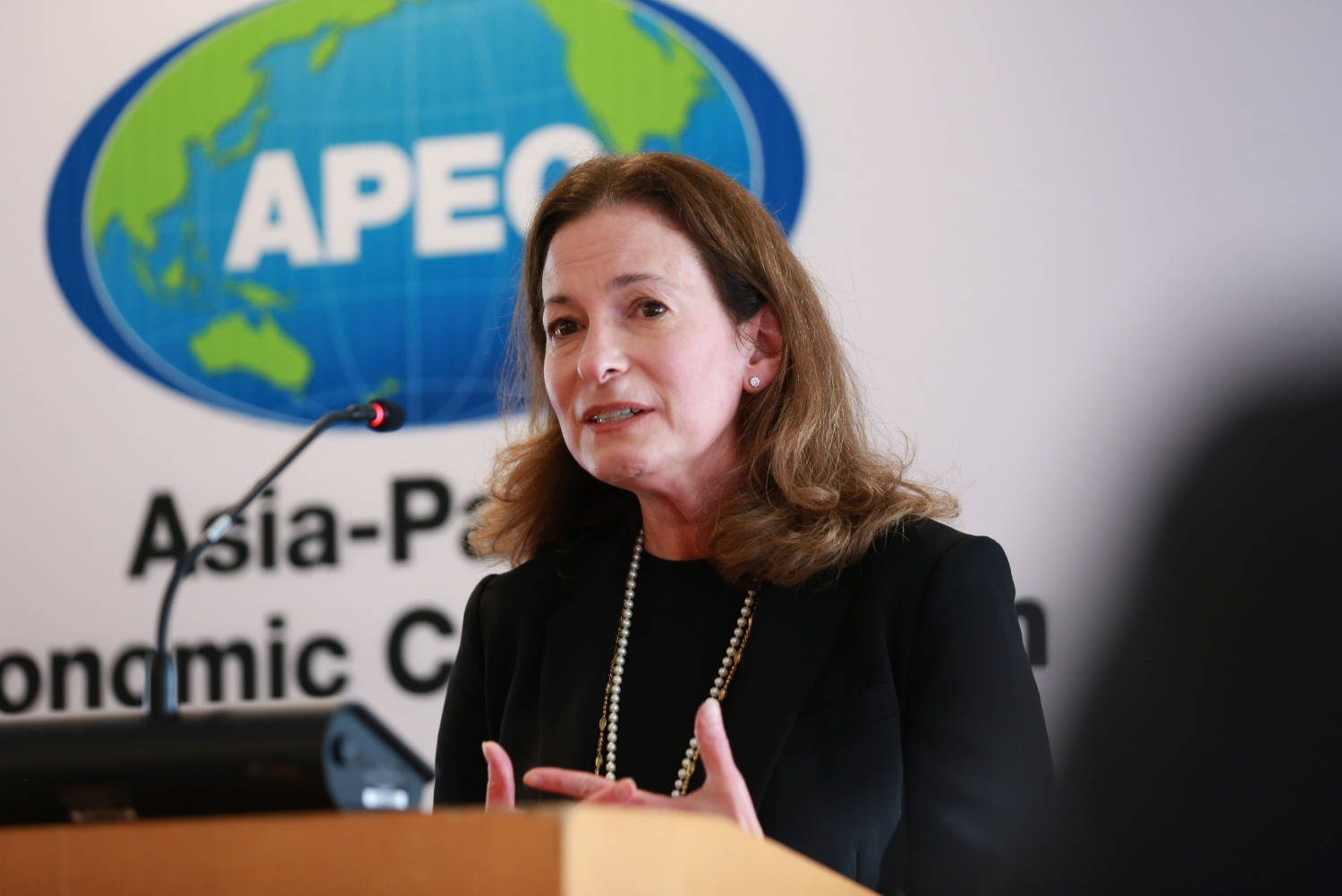 Klein Announces 2023 APEC Women and Economy Forum