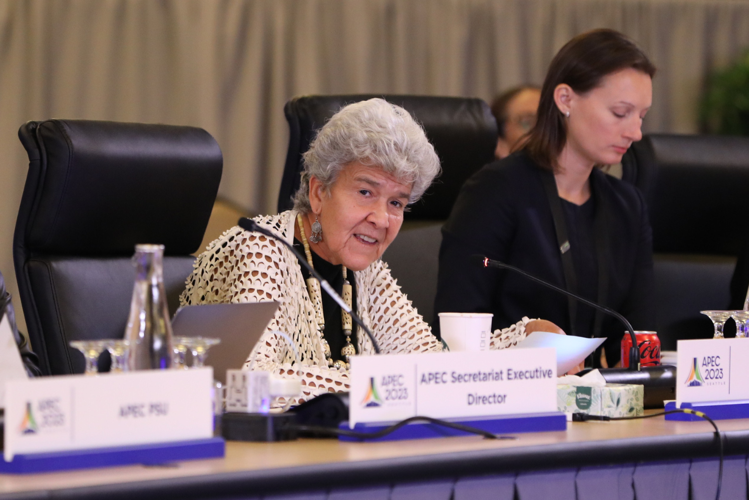 APEC Pledges Greater Support for Small Businesses