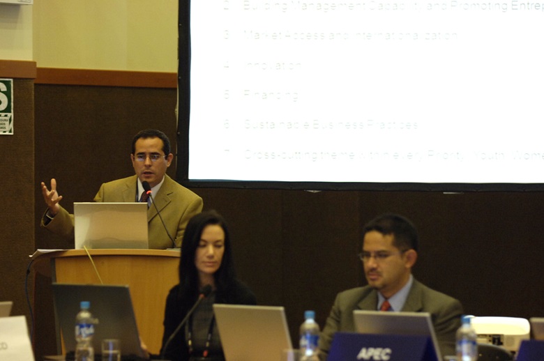 Mr. Johan Spitzer, Chair of 27th. Small and Medium Enterprise Working Group (SMEWG) 