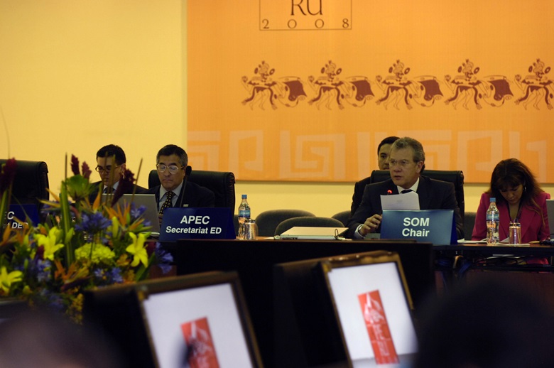 Concluding Senior Officials' Meeting, 16-17 Nov 2008