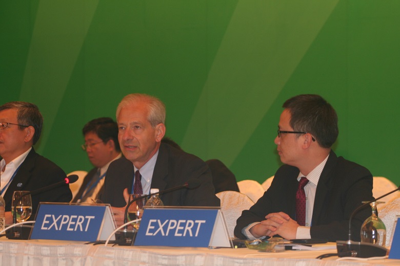 IAP Analyst, Professor Peter A. Pitri 