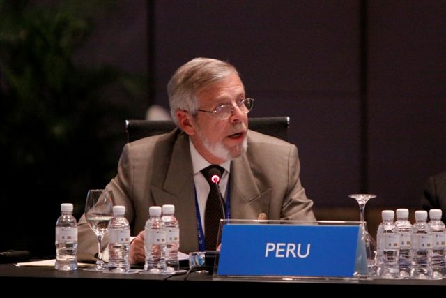 Joes Antonio Garcia Belaunde, Delegate, Ministry of Foreign Affairs, Peru