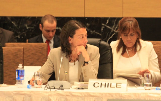 Ana Novik, Senior Official for Chile
