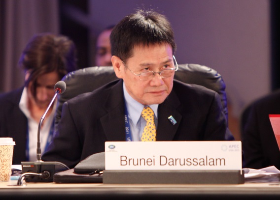 APEC Senior Official - Brunei Darussalam