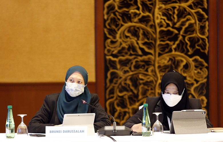 Brunei_17Aug 0900 ACTWG (1of2) (55)