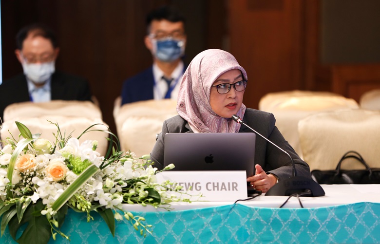 SMEWG Chair 2