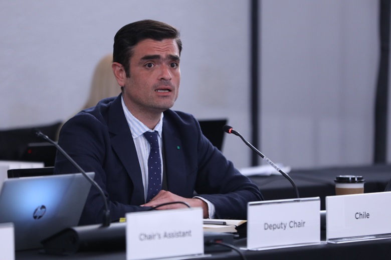 Deputy Chair_Chile