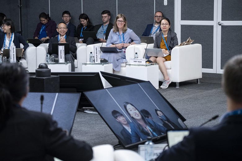 53716438494_2339113a25_k