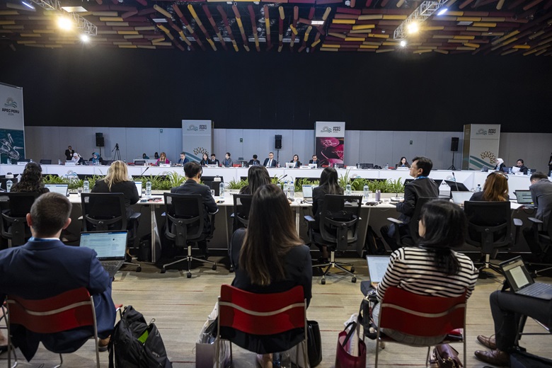 53560233994_d49608f4fe_k