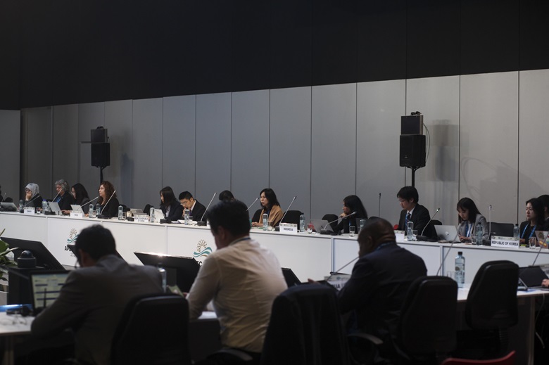 53567671446_e15253e1a4_k