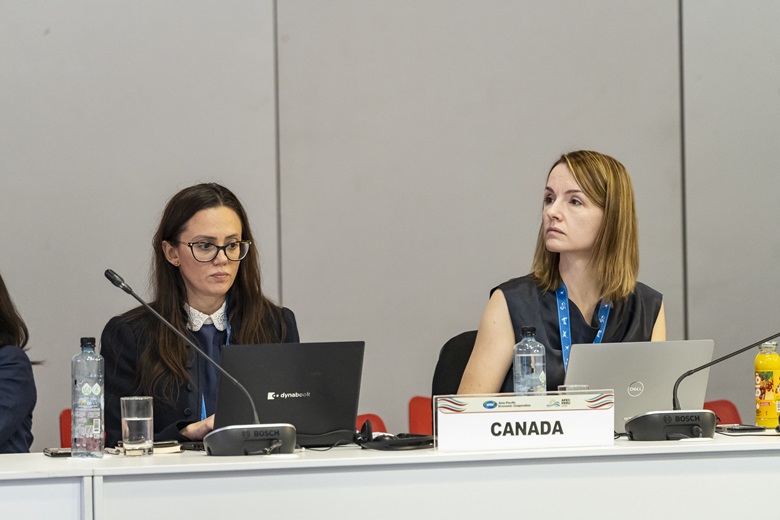 53562377337_36cd4c6be1_k