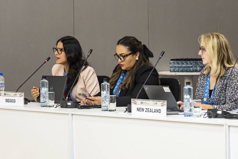 53563085406_591604955d_k