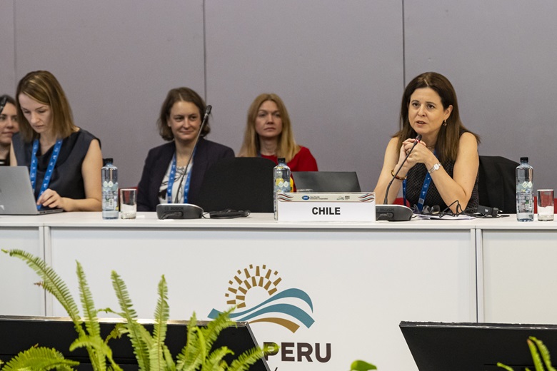 53563085491_c0b8764191_k