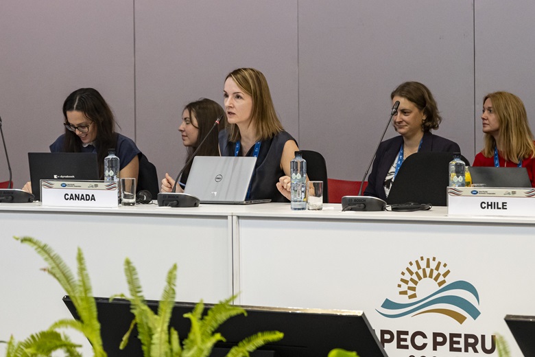 53563408989_406ae7fd4b_k