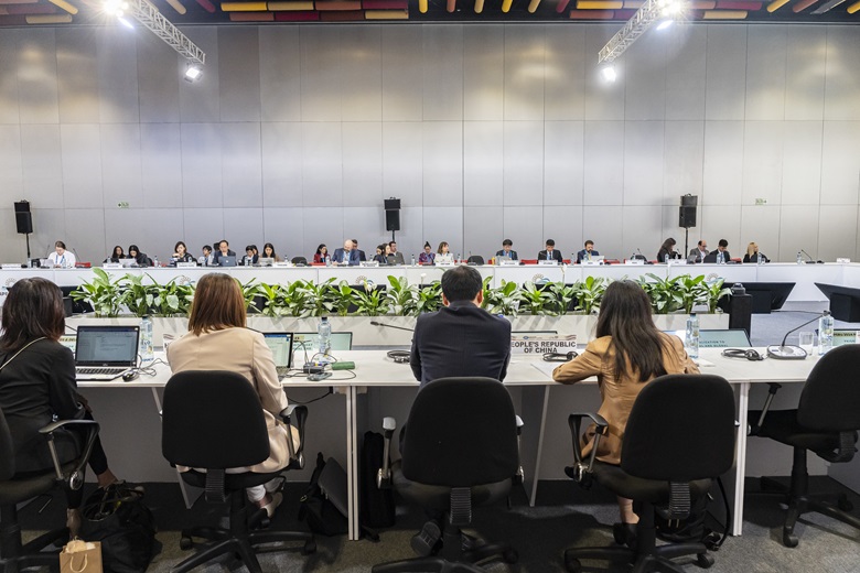 53562836972_f063a0bbf5_k