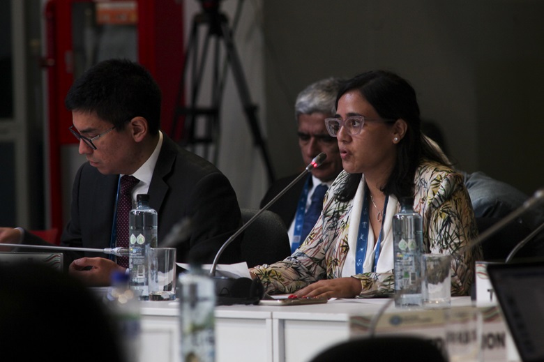 53567866488_7b39b7ad67_k