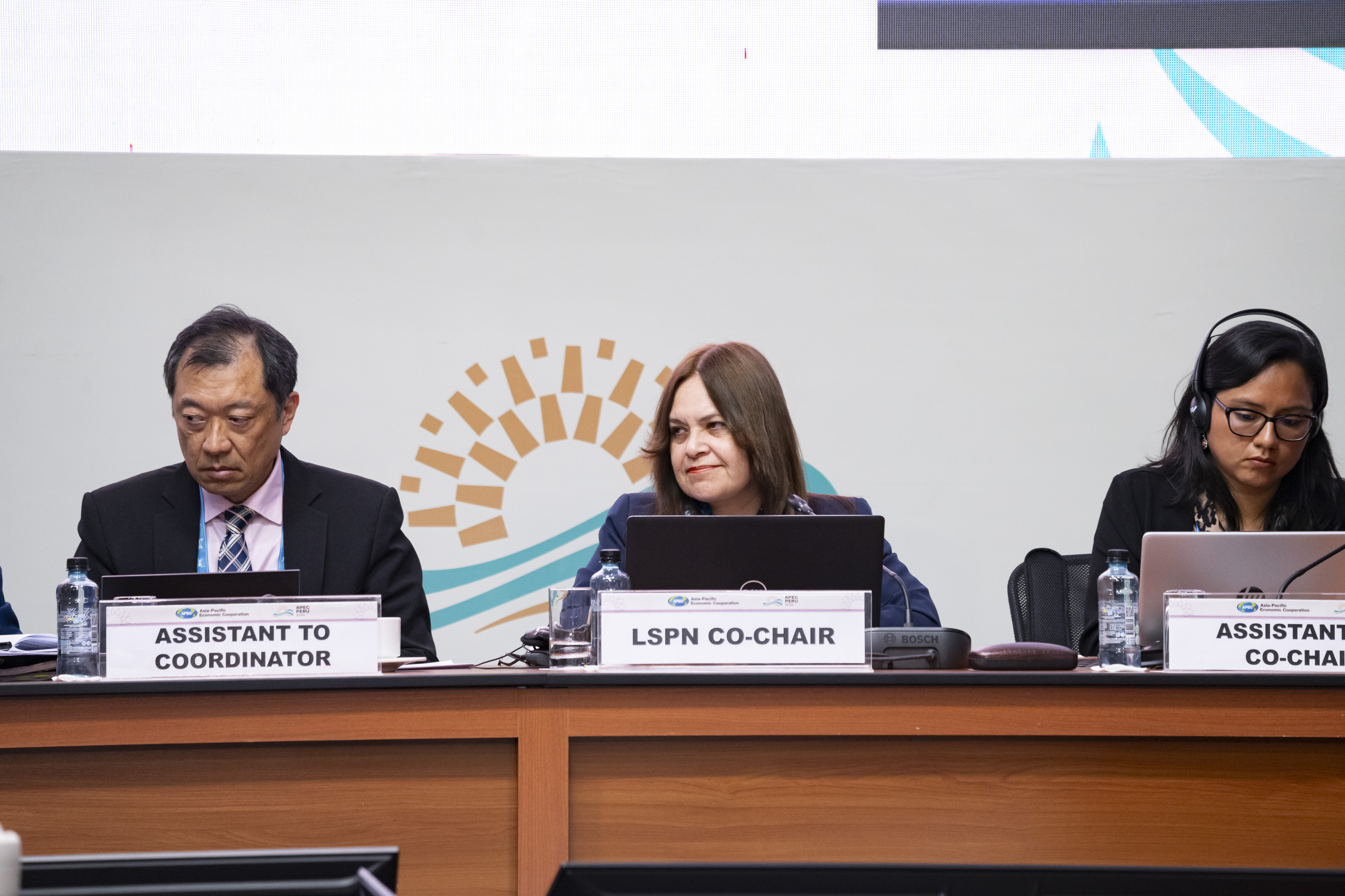 HRDWG Labor and Social Protection Network (LSPN) Meeting | APEC