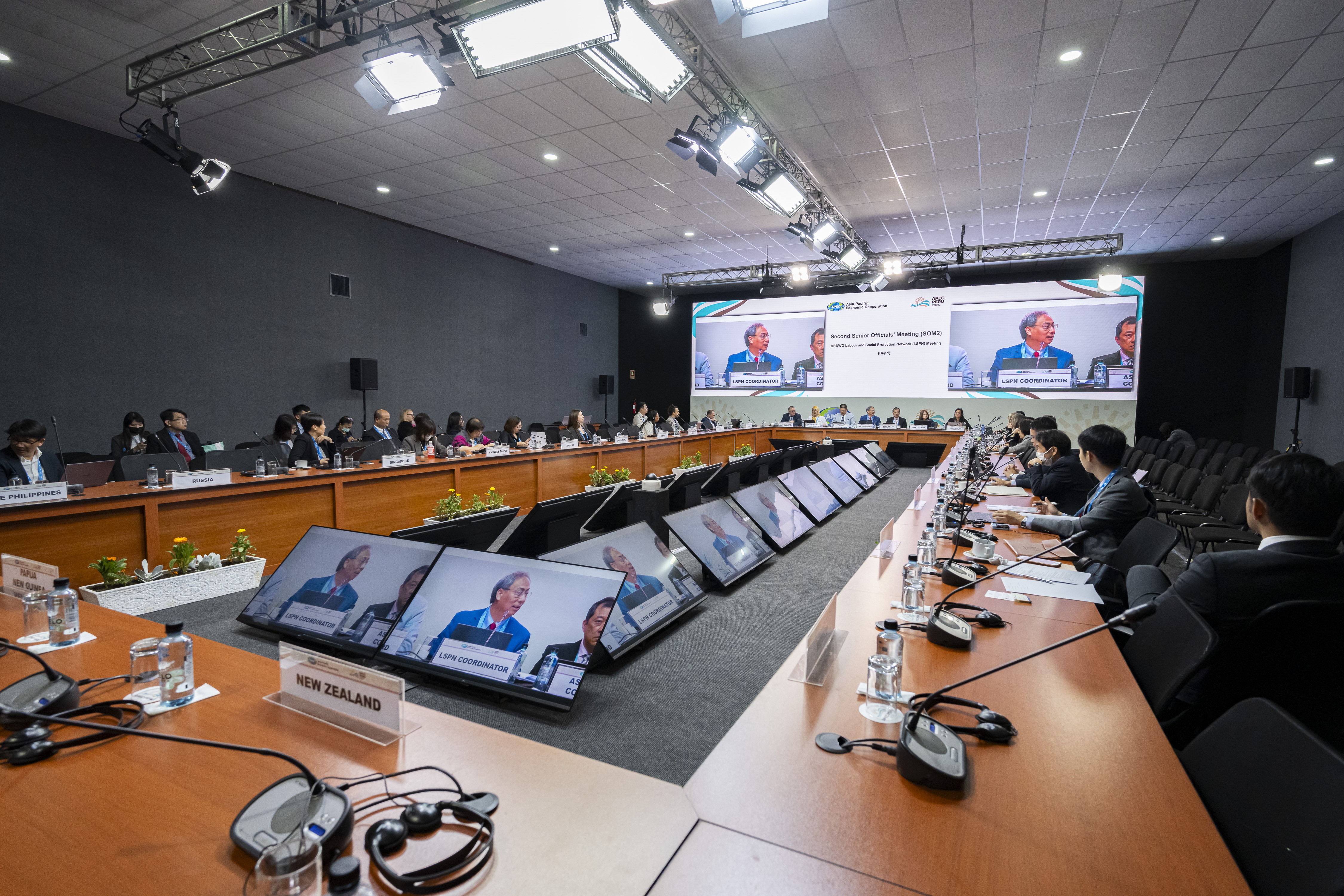 HRDWG Labor and Social Protection Network (LSPN) Meeting | APEC