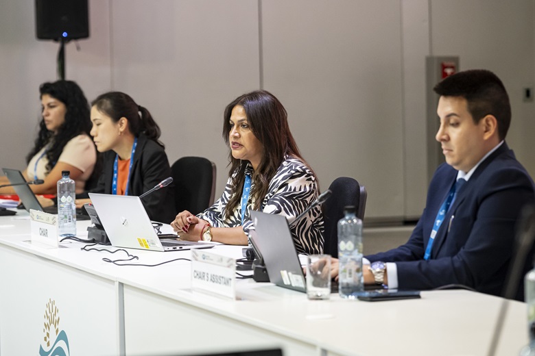 53558726144_2aff9e28cd_k