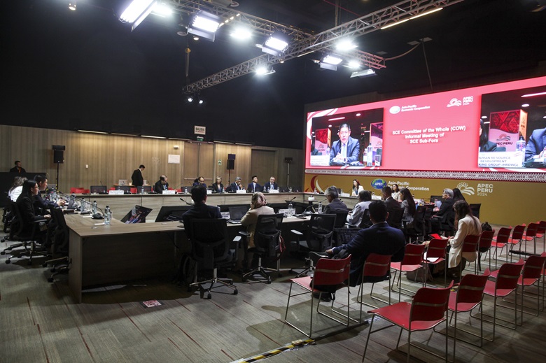 53569524786_7eb9561049_k