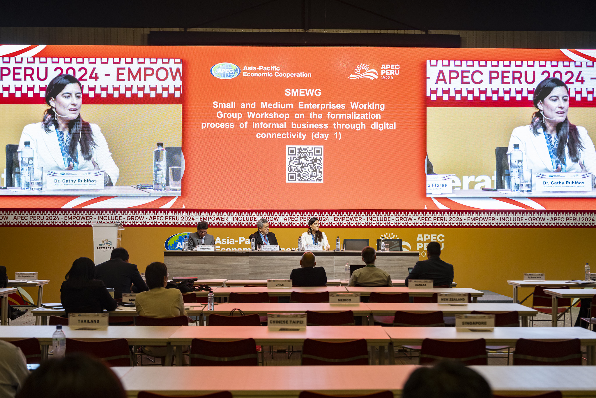 SMEWG Small and Medium Enterprises Working Group Workshop on the ...