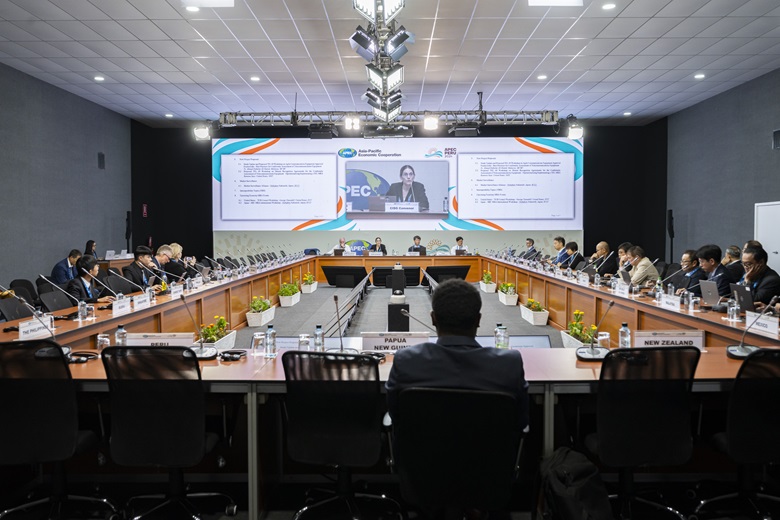 apc_7398_apec_53702838551_o