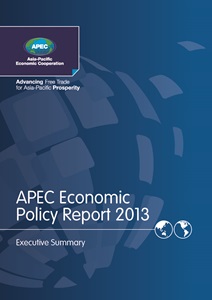 1454-Cover_2013 AEPR_summary