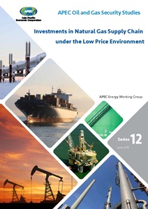 Cover_218_EWG_Investments in Natural Gas Supply Chain
