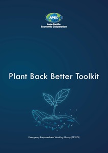 Cover_220_EPWG_Plant Back Better Toolkit