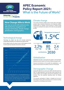 Cover_2021 AEPR Factsheet