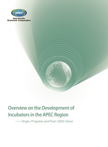 Cover_221_PPSTI_Overview on the Development of Incubators in the APEC Region