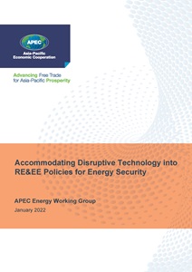 Cover_222_EWG_Accommodating Disruptive Technology into RE&EE Policies for Energy Security