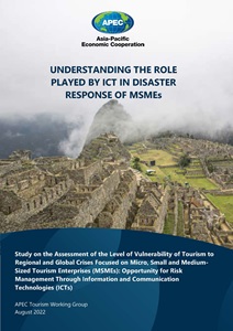 Cover_222_TWG_Understanding the Role Played by ICT in Disaster Response of MSMEs